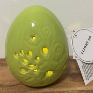 NEW Hobby Lobby Pastel Green  Ceramic Egg Light Up Spring Easter Decor 4”